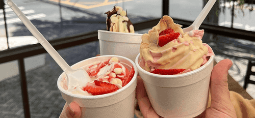 D'Vicz Gelateria